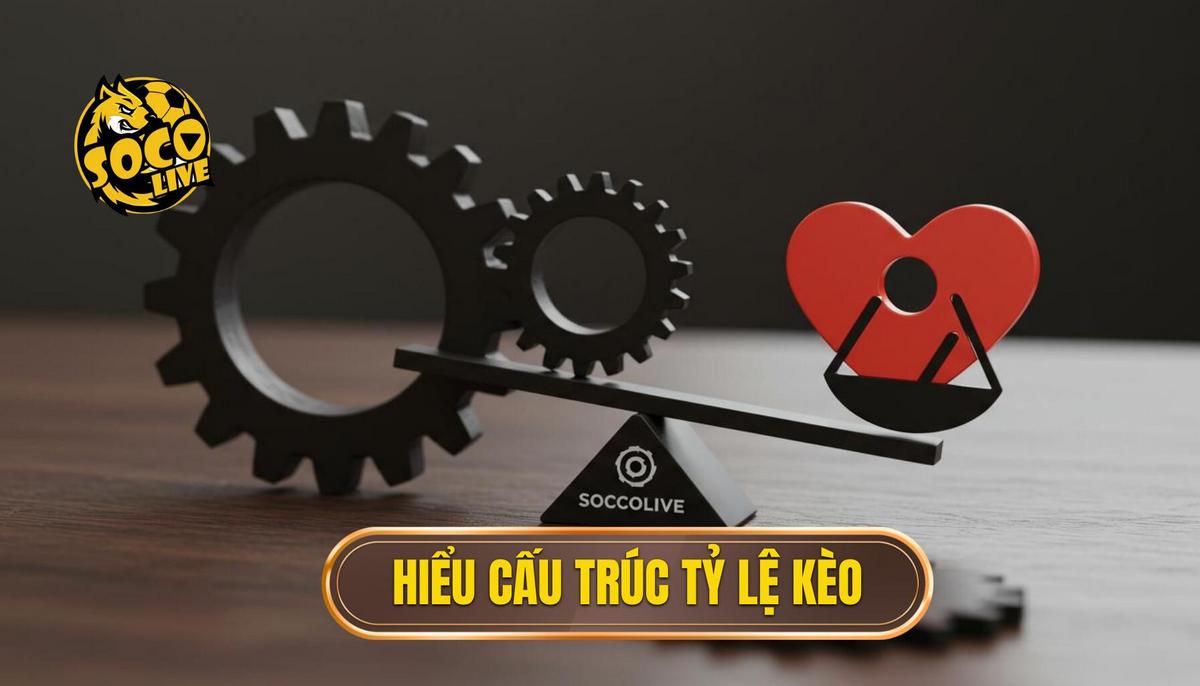 Phần 1_ Hiểu Cấu Trúc Cơ Bản Của Tỷ Lệ Kèo
