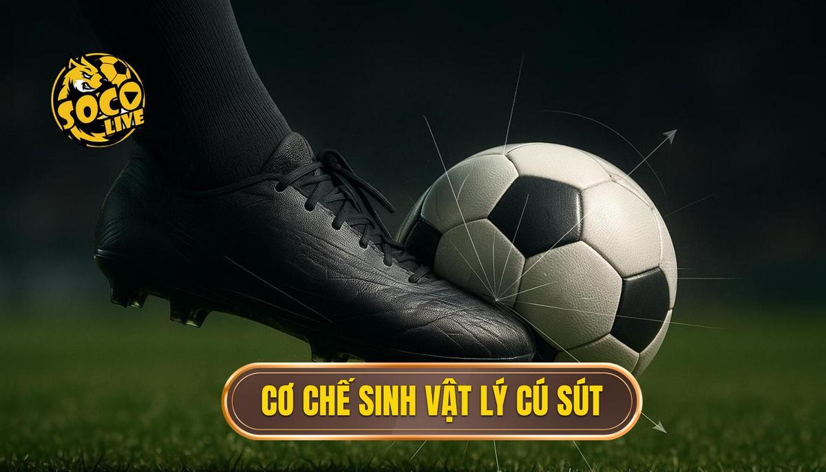 Phân Tích Cơ Chế Sinh Học và Vật Lý Học Đằng Sau Cú Sút