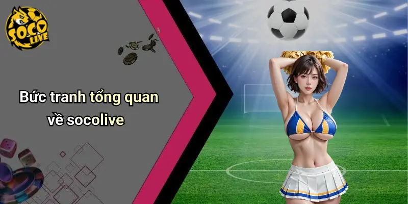 Giới thiệu 1 Giới Thiệu