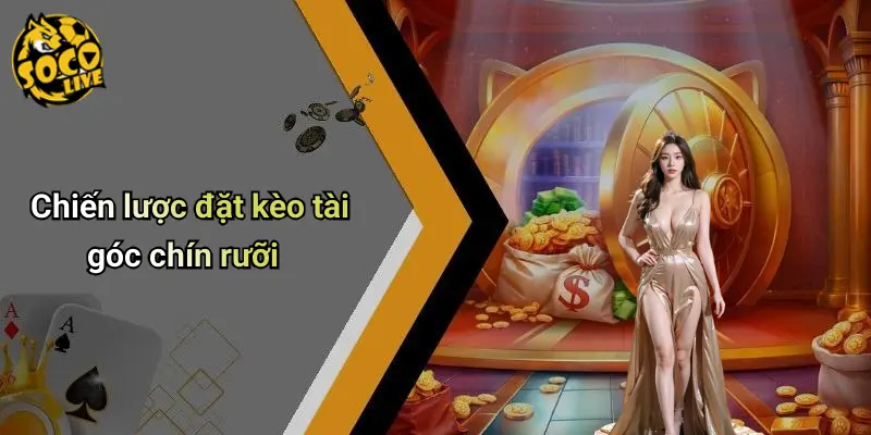 Tài Góc 9.5 Là Gì