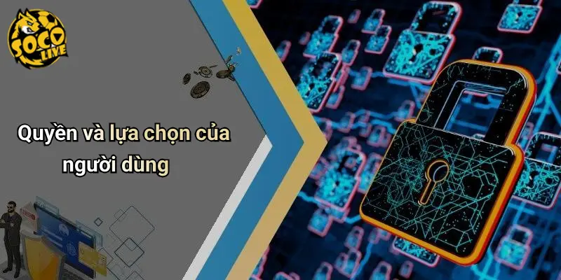 Quyền riêng tư 4 Quyền Riêng Tư