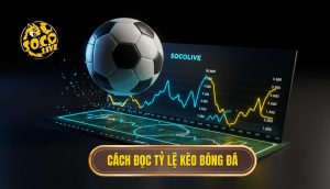 Cách đọc tỷ lệ kèo bóng đá