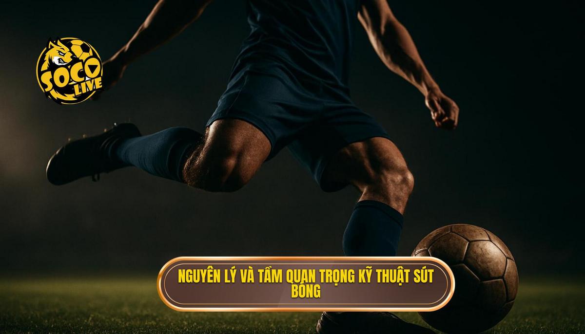 Nguyên lý cơ bản và tầm quan trọng của Kỹ thuật sút bóng bằng mu bàn chân