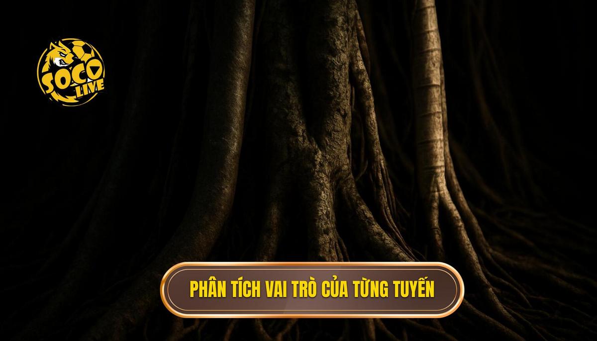 Phân tích Chuyên sâu Vai trò của Từng Tuyến