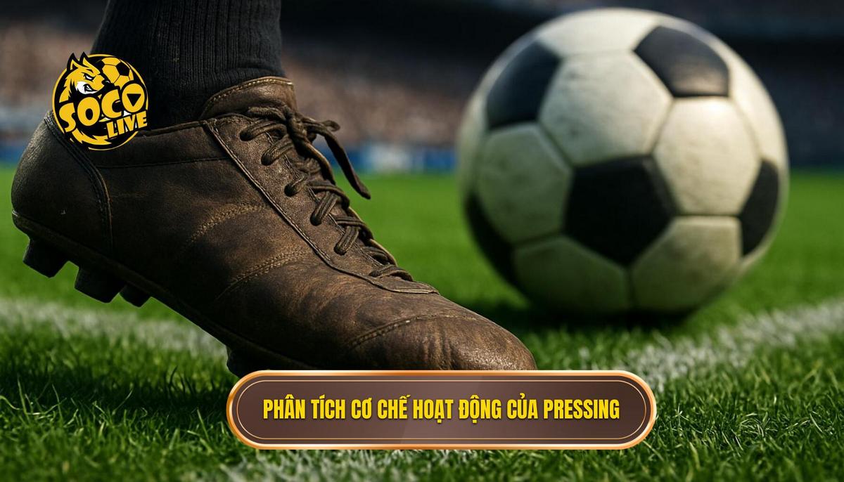 Phân tích Cơ chế Hoạt động của Pressing Tầm Cao