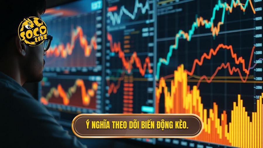 Tầm quan trọng của việc theo dõi biến động kèo