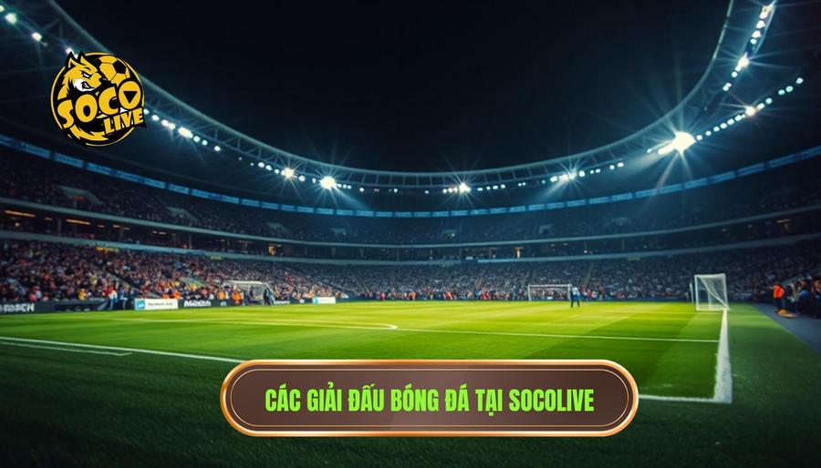 Các giải đấu bạn có thể theo dõi qua link socolive mới nhất xem bóng miễn phí